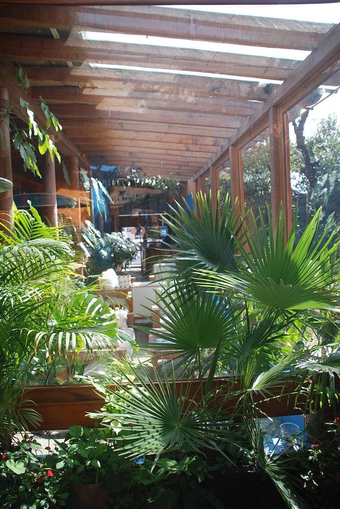 Hotel Posada El Paraiso San Cristóbal de Las Casas Dış mekan fotoğraf