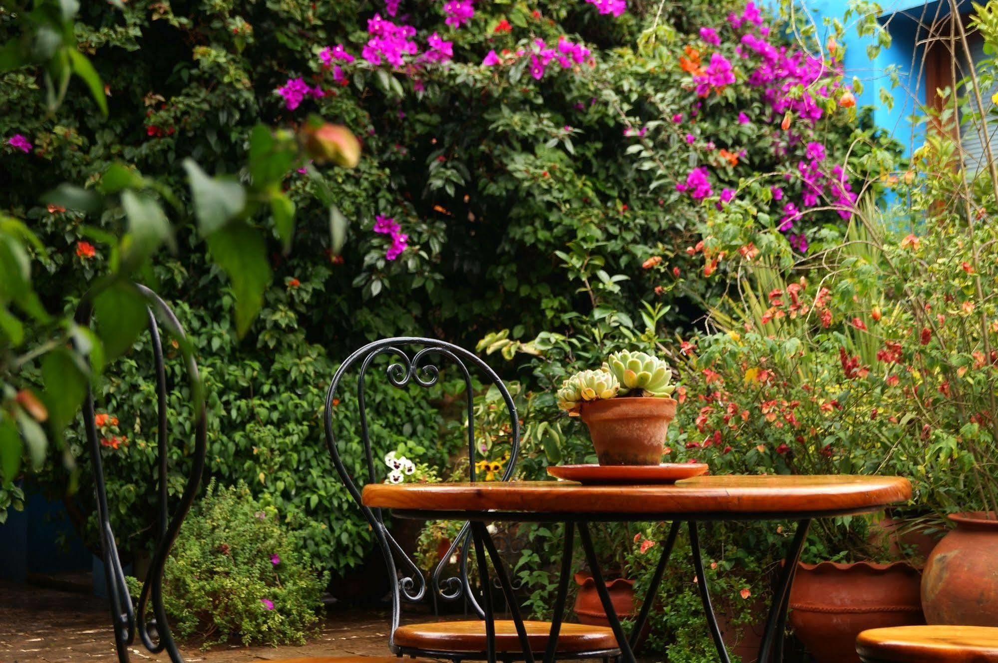 Hotel Posada El Paraiso San Cristóbal de Las Casas Dış mekan fotoğraf